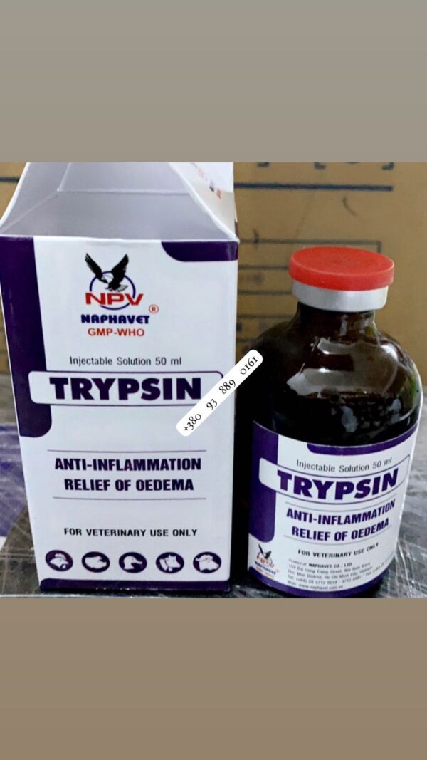 TRYPSIN