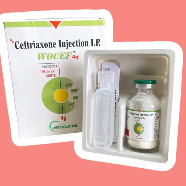 Ceftriaxone injection i p