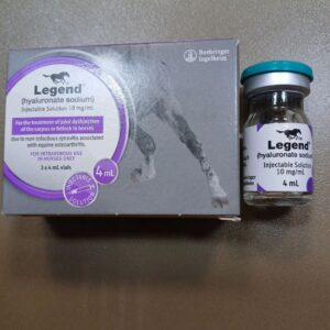 legend injection for horses