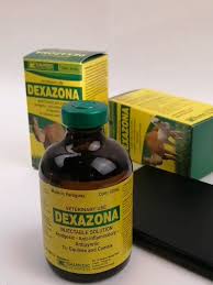Buy Dexazona