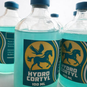 Hidro Cortyl – 100 ml